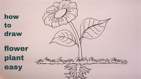 paano mag drawing ng flower|How to Draw a Flower .